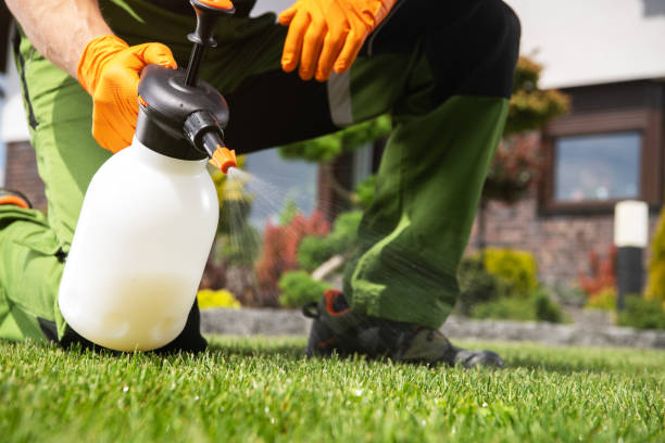 Best Spider Control Near Me  in University Park, IL