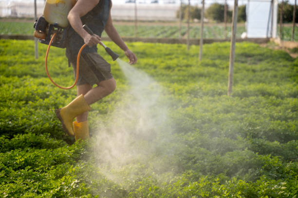 Best Insect Control  in University Park, IL