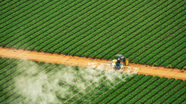 Best Pest Removal Services  in University Park, IL