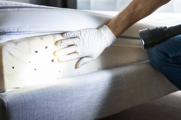 Pest Prevention Services in University Park, IL