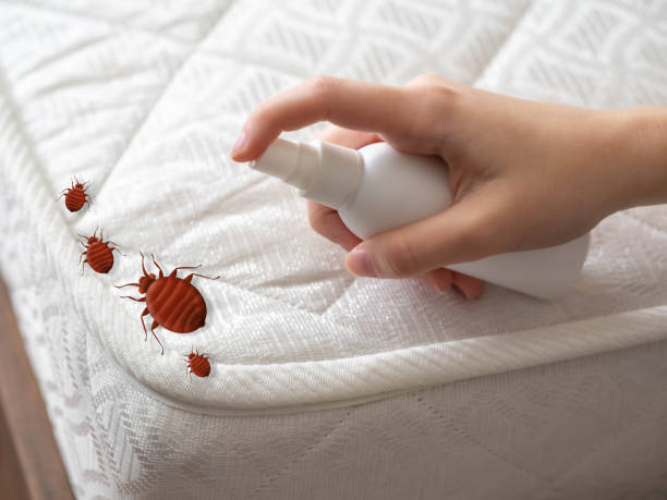 Best Exterminator Services  in University Park, IL