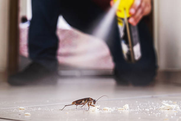 Best Residential Pest Control  in University Park, IL