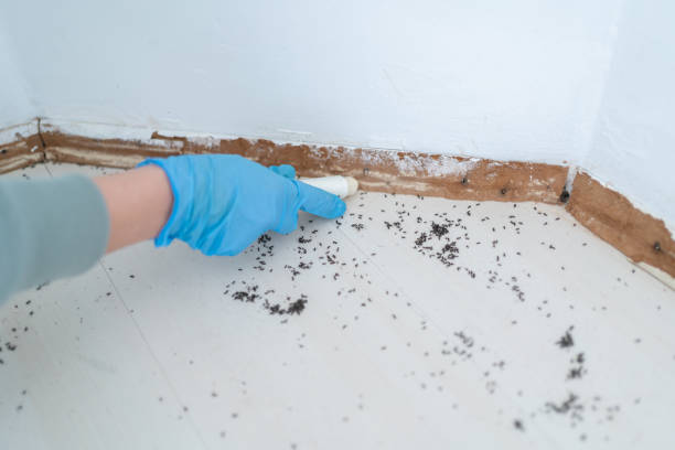 Best Pest Control Near Me  in University Park, IL