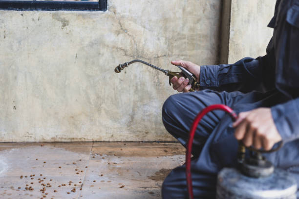 Best Pest Inspection Near Me  in University Park, IL